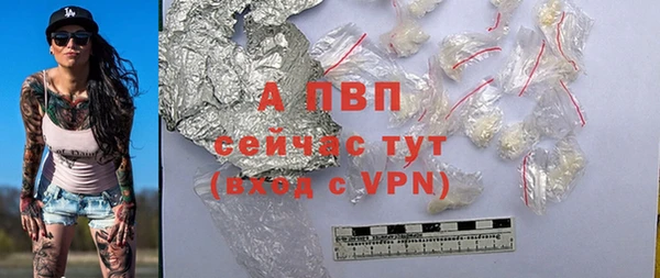 тгк Дмитровск