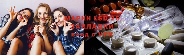 прущие крисы Горняк